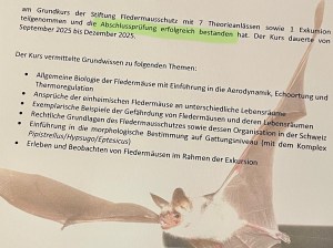 Bestätigung der bestandenen Abschlussprüfung Grundkurs Fledermäuse Dezember 2025
